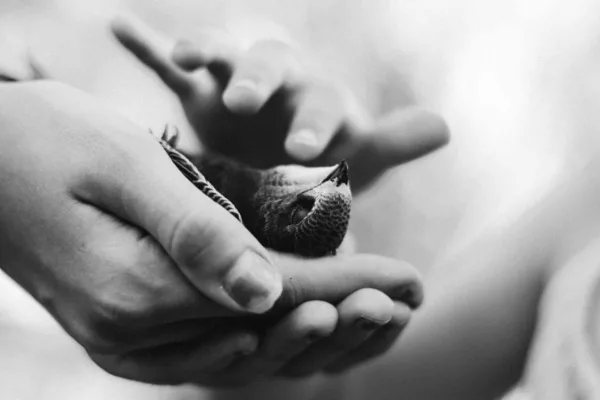 Meditación asistida con neurofeedback en psicoterapia