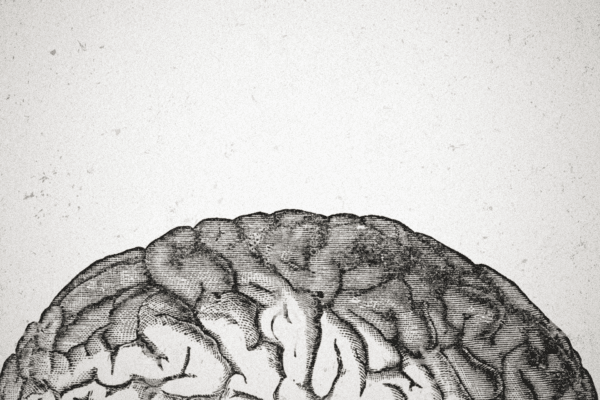 Enfoque integral para el TDAH